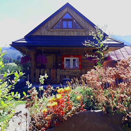 Zrub Niki Villa Ždiar Exteriör bild